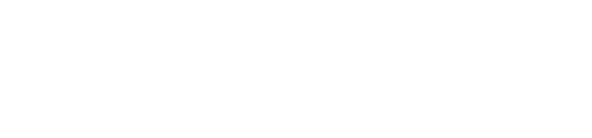 The Leadership Academy